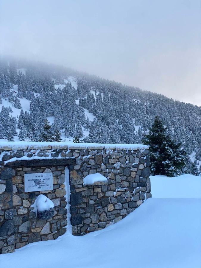 Mezonetes Helmos Apartment Ano Lousoi Bagian luar foto